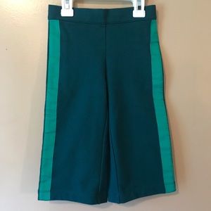 ⭐️SALE!⭐️New- Size 2T or size 4 Janie and Jack Sweat Pants, Green, side stripes